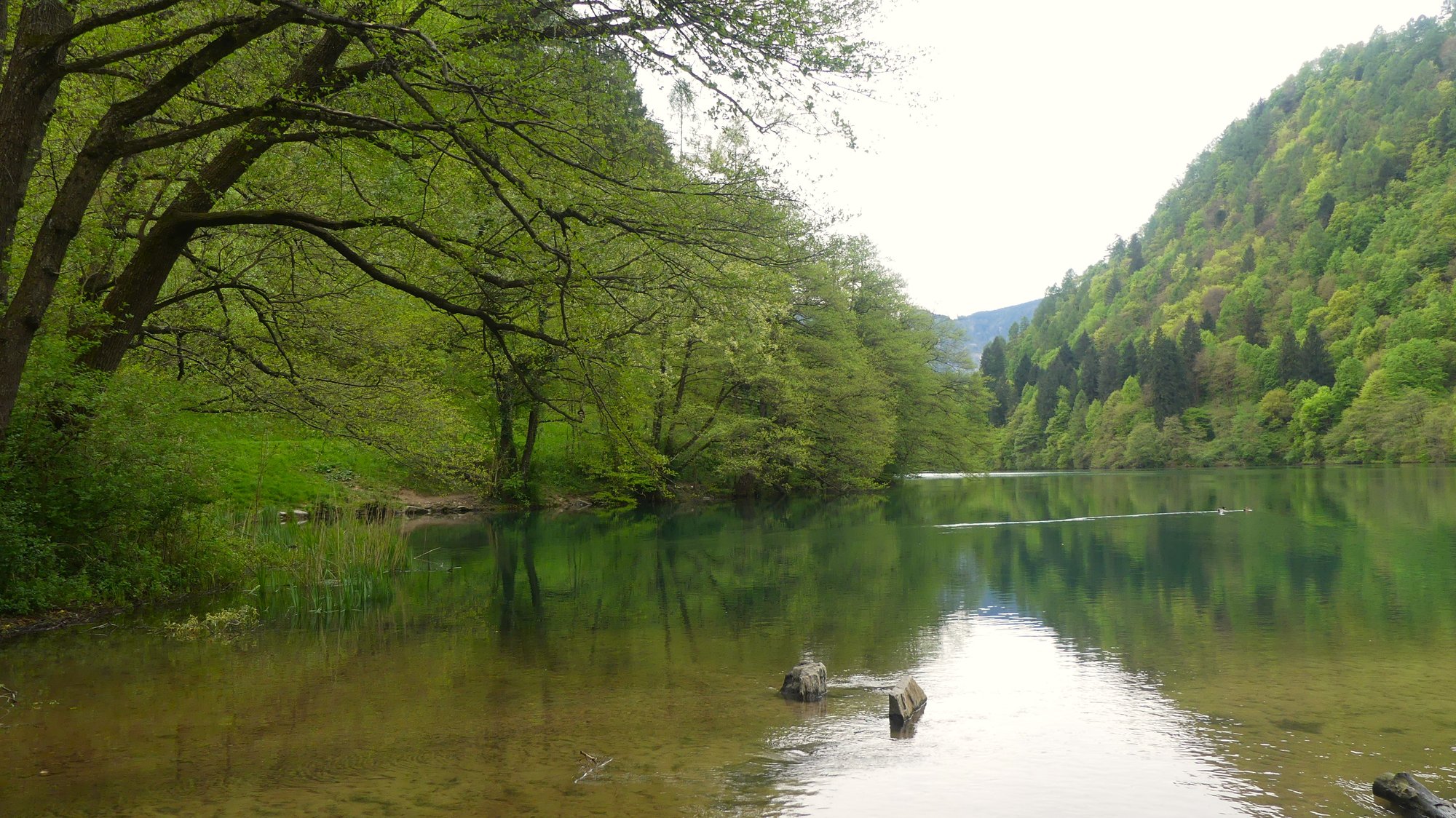 Il Lago di Levico con gli alberi riflessi. Foto Stefano Mayr