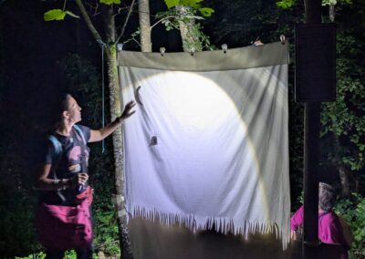 Un telo illuminato di notte per osservare le falene