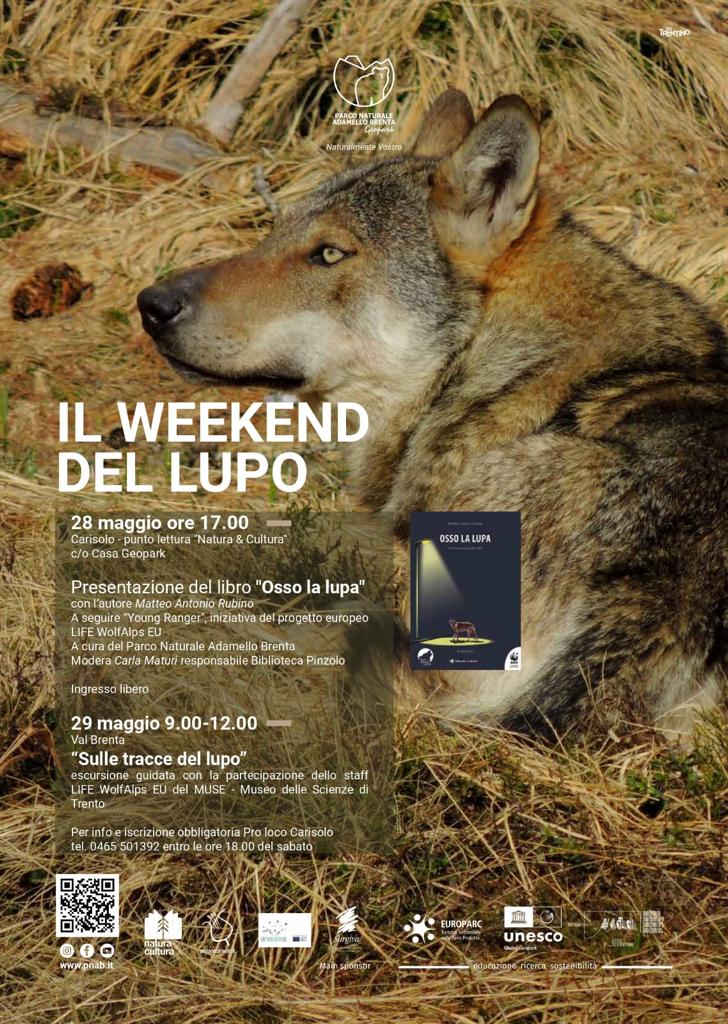 Locandina: Il weekend del lupo: escursione "Sulle tracce del lupo" in Val Brenta