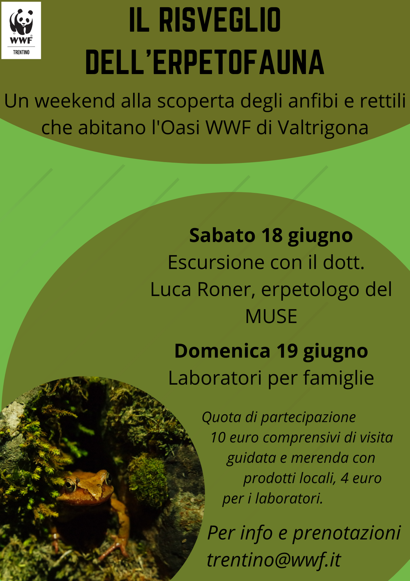 Locandina: Il risveglio dell'erpetofauna: escursione a Valtrigona con l'erpetologo Luca Roner