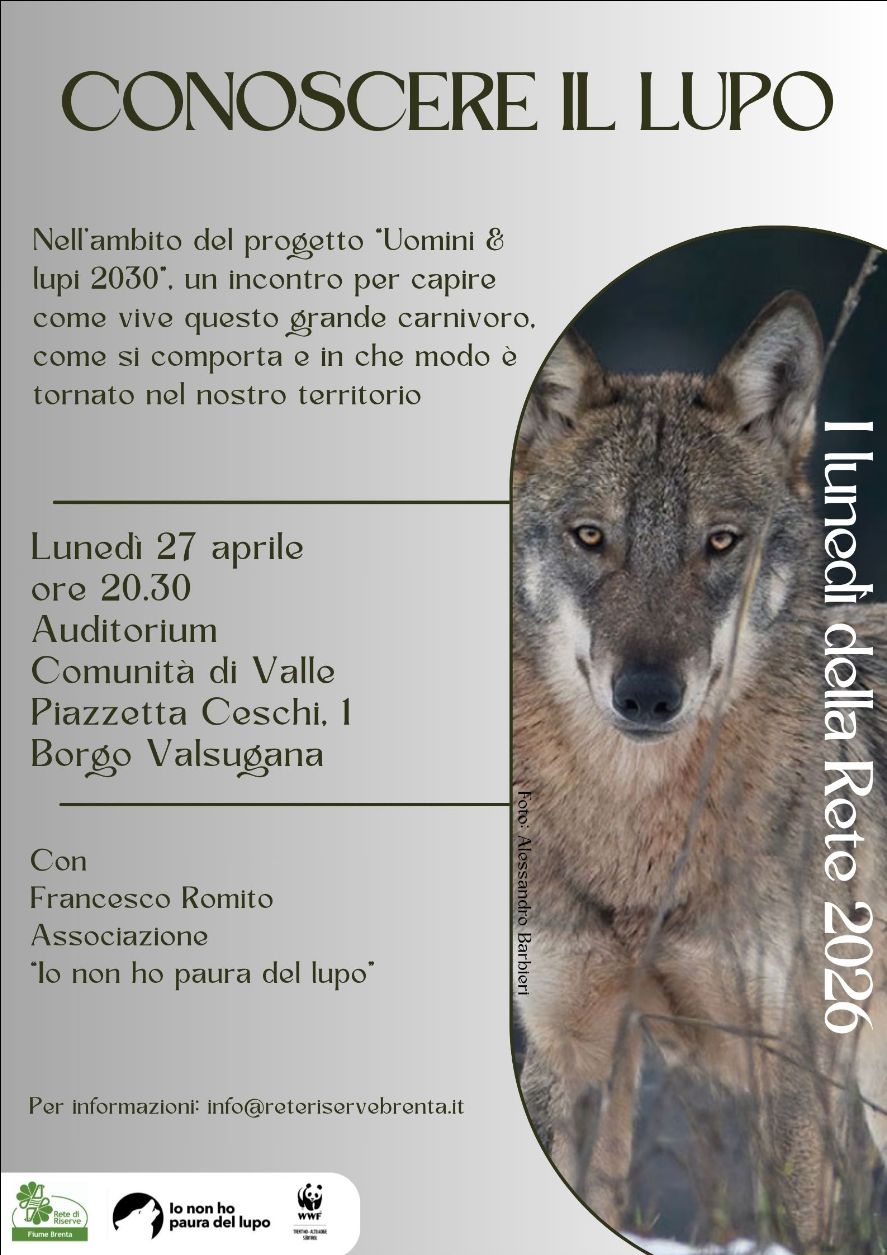 Locandina: Conoscere il lupo: serata informativa a Borgo Valsugana