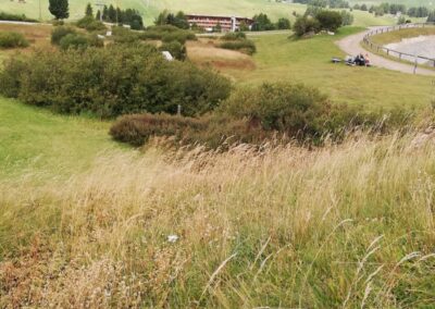 Pascoli e macchie di arbusti sull'Alpe di Siusi, con strade e alberghi a valle