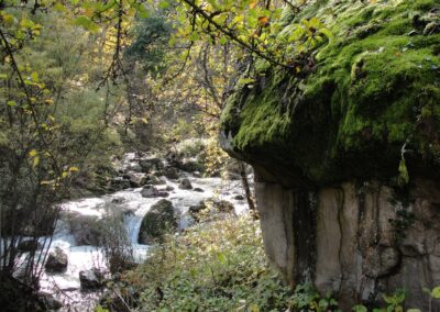 Un masso erratico nella Valle dello Sporeggio. Arch. WWF