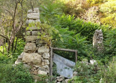 I ruderi di Maso Fratton nel bosco