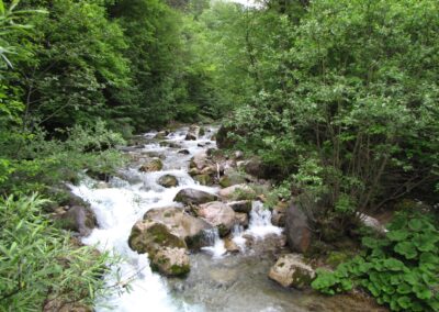 Il torrente Sporeggio fra i massi