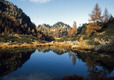 Un laghetto della Valtrigona in autunno, con i larici riflessi nell'acqua