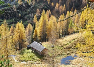 Malga Valtrigona fra i larici in autunno. Foto Walter Tomio