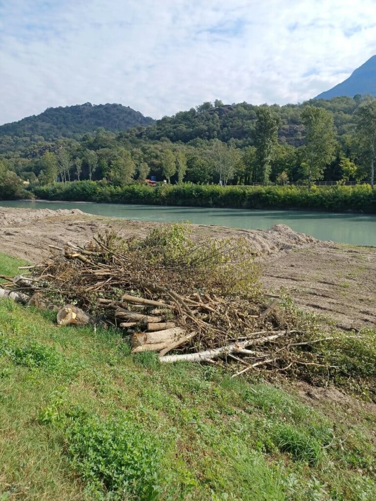 Cataste di tronchi e ramaglia della vegetazione ripariale tagliata lungo l'Adige a Egna