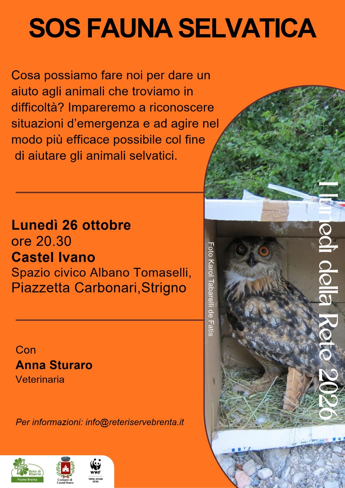 Locandina: I lunedì della Rete: SOS fauna selvatica