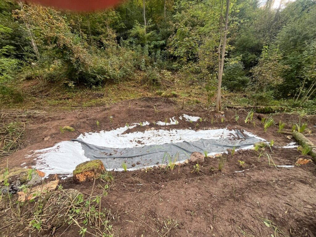 Lo stagno finito, già con l'acqua