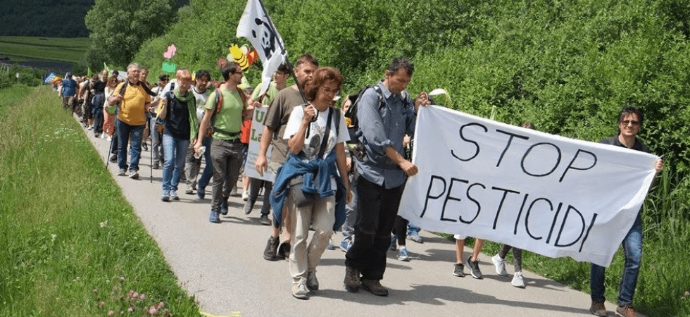 marcia stop pesticidi.jpg